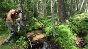 Эпизод 3 Радиалка 1 ВД