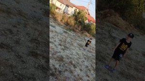 заброшенный трактор и прицеп