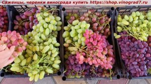 Едем в Храм, яблочный спас, везем гостинцы.
