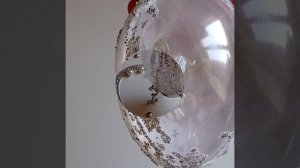 Моя новая ёлочная игрушка.# поделки # переделки # ручная работа #