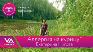 Кафедра Диетологии "Аллергия на курицу"