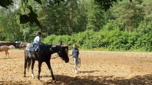 Кире 6 лет. КСК Заповедный