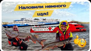 Наловили немного щук🔥🔥🔥