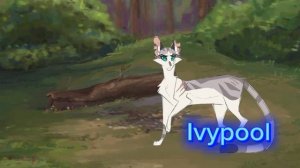 История моего канала 💥