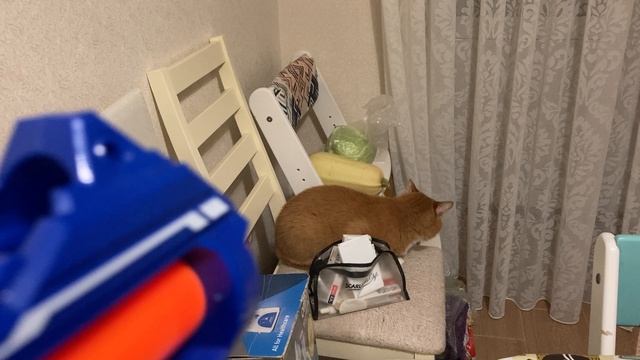 Охота_на_львов смотреть онлайн