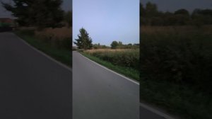 Вечерняя прогулка.
