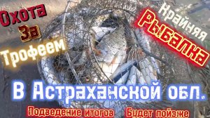 Рыбалка в Астраханской области на р. Волга август 2025. Крайние видео.