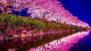 Красивое чтение Корана ислам субхи