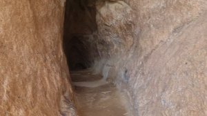 Балхаш Бектау Ата 2 мая 2025