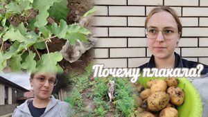 VLOG Почему плакала?🥺 Семён играет с баклажанами🍆