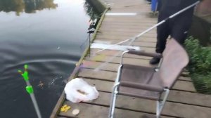 Поимка Форели на стрейч