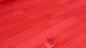 Война кошмар солдата