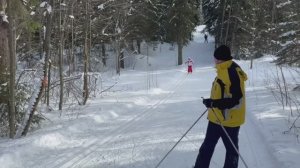 2023 Гарболово «Наша трасса» ,катание на беговых лыжах в Санкт-Петербурге