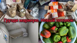 Грузди мариную. Натянули потолки. Распаковка.Много сыра. Мой урожай перцев.