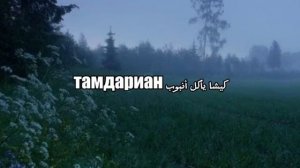 тучка имба #тренд #тикток #мем #мемы