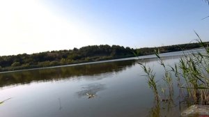 Полное видео на канале, Открытие осенней рыбалки на поплавок,  душевно....р. Сухой