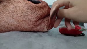 ??? (Я вернулся)