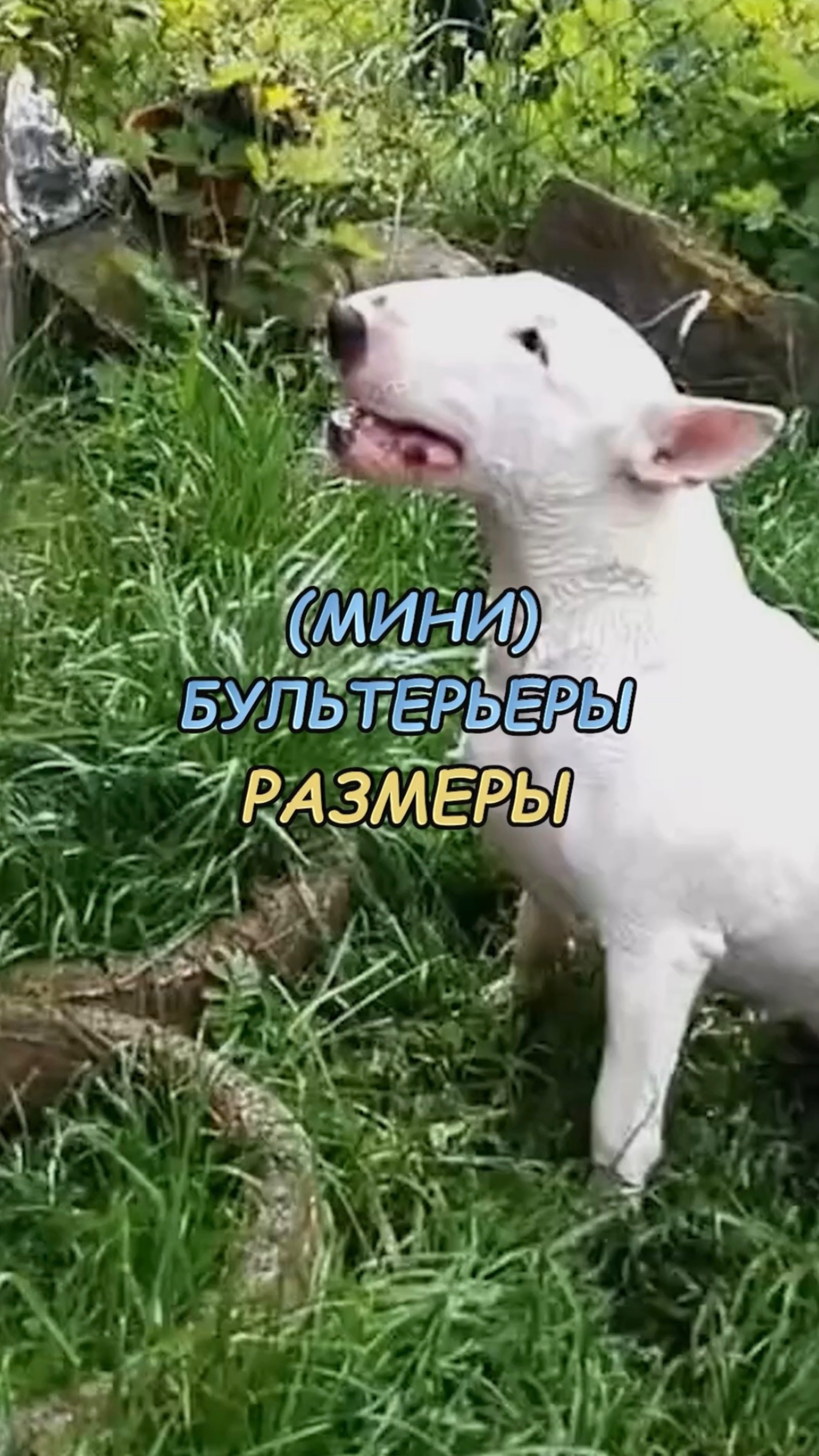 🎁Бесплатные уроки. Жми сюда! смотреть онлайн