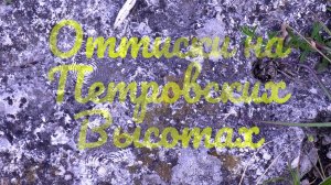 Оттиски на Петровских высотах