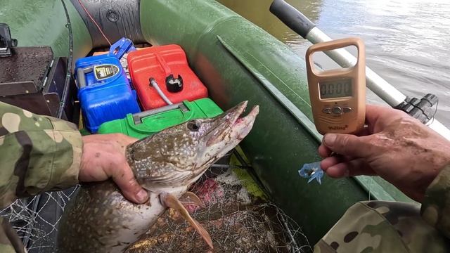 🔺️🎣ЗАВЕС🎣🔺️fishing#туризм#природа#ловля#рыбалка#щука#ловлящуки#ночевка#Чулым#река#спиннинг