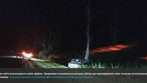 Два человека погибли в ДТП с лосем в Новосибирской области