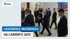 Путина встретили «Калинкой-Малинкой» на саммите ШОС