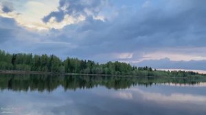 Купался солнца луч рассветный стихи - Виктор Михнев музыка - Елена Есфирь  + SUNO