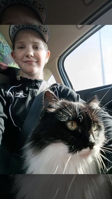 Увидимся следующим летом... смотреть онлайн