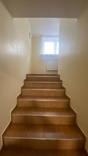 Обзор дома п. Свободное, ул. Цветочная, д.8