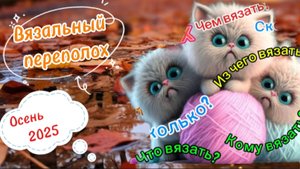 СП "Вязальный переполох Осень 2025 ". Вступление.