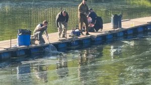 Поимка с нового понтона