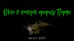 Окно в ночную природу Перми