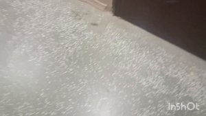 Спалила уборщица лифт ЩЛЗ 2004 г