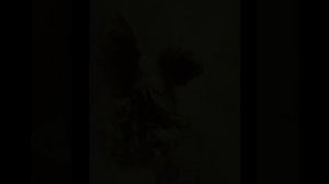 video20250831_010547.mp4