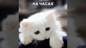последний день лета...