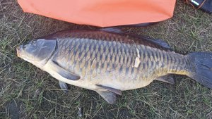 Отличное завершение лета 2025!