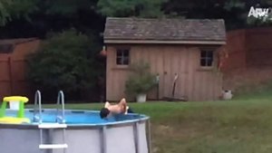 America′s Funniest Home Videos. My Day Went from Bad to Worse 😆 Best Fails of the Week