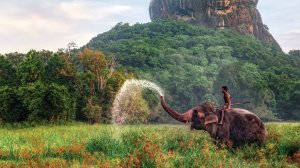 Lion Rock, Sigiriya, Sri Lanka