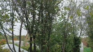 В нашем хозяйстве пополнение🐿🐿🐿