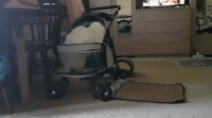 Леся и Сёма - Оборонительная точка Леси