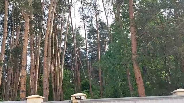 ПРИЗВАТЬ ДЕНЕЖНЫХ КЛИЕНТОВ НА МЁД. ОЧЕНЬ СИЛЬНО. РИТУАЛ ДЛЯ ВСЕХ.ВЕДЬМИНА ИЗБА. ️ ИНГИ ХОСРОЕВОЙ. смотреть онлайн