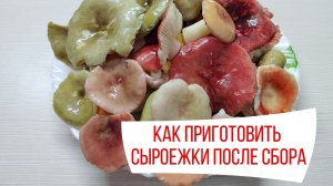 Как почистить и приготовить СЫРОЕЖКИ после сбора
