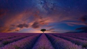 Красивое чтение Корана ислам субхи