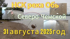 Рыбалка в Сибири на реке Обь 31 августа 2025 год