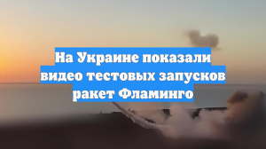 На Украине показали видео тестовых запусков ракет Фламинго