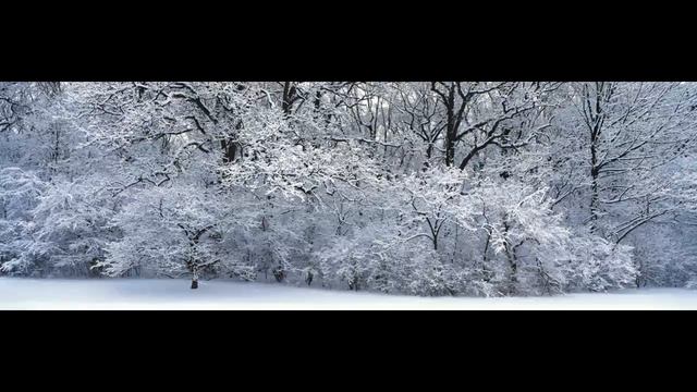 Только одно желание моё - Дмитрий Шлетгауэр смотреть онлайн