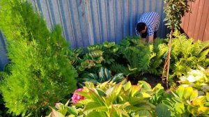 31.08.2025г./ НА ЗАВТРАК ЛЮБИМЫЕ БУТЕРБРОДЫ ВНУКОВ// СЕГОДНЯ МЫ ТРУЖЕНИКИ/
ОБЫЧНАЯ ЖИЗНЬ В СЕЛЕ