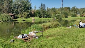 Утренний обзор.