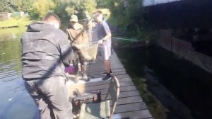 Поимка под мостом