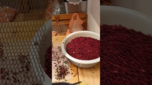 Обновлённый способ перекатывания ягод, в данном случае брусника. Быстро, эффективно, не идеально.